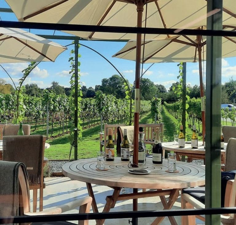 Dunesforde Vineyard Experience